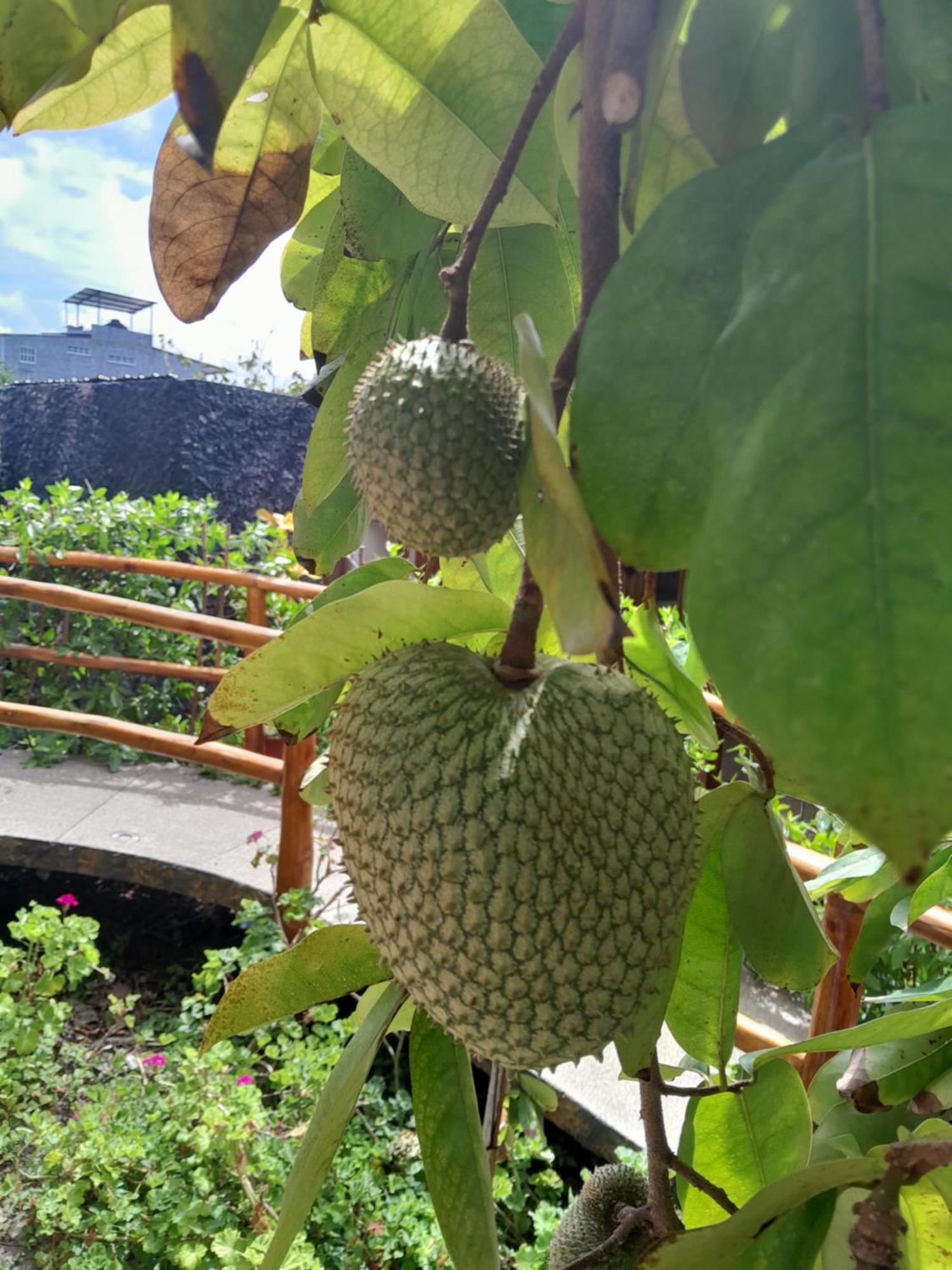Isla Azul 호텔 푸에르토아요라 외부 사진