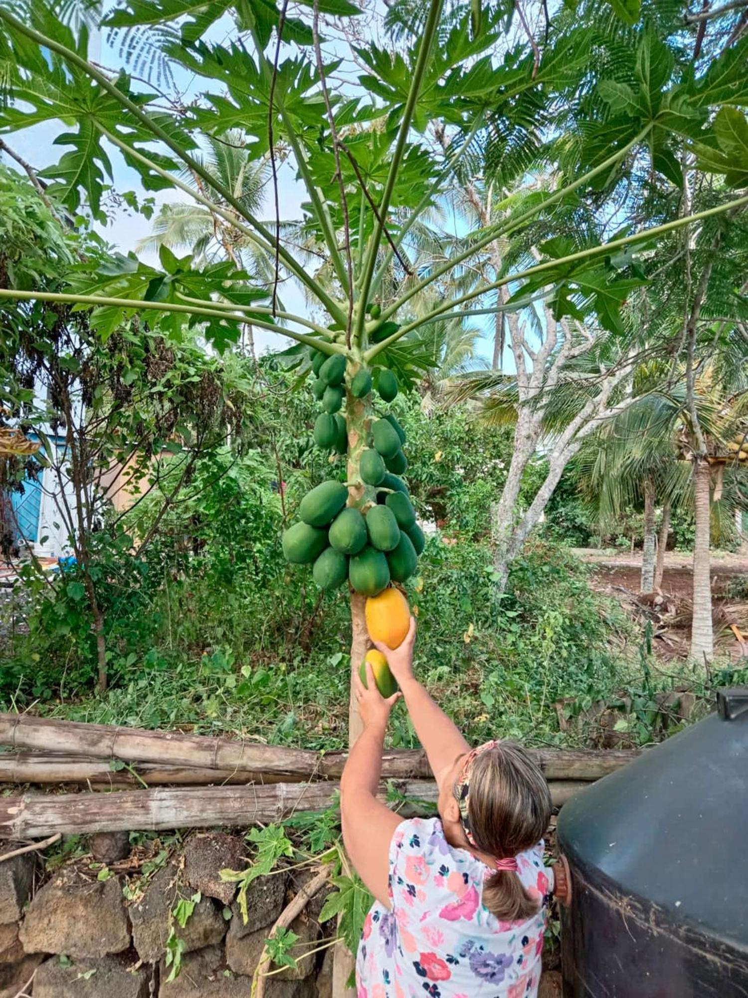 Isla Azul 호텔 푸에르토아요라 외부 사진