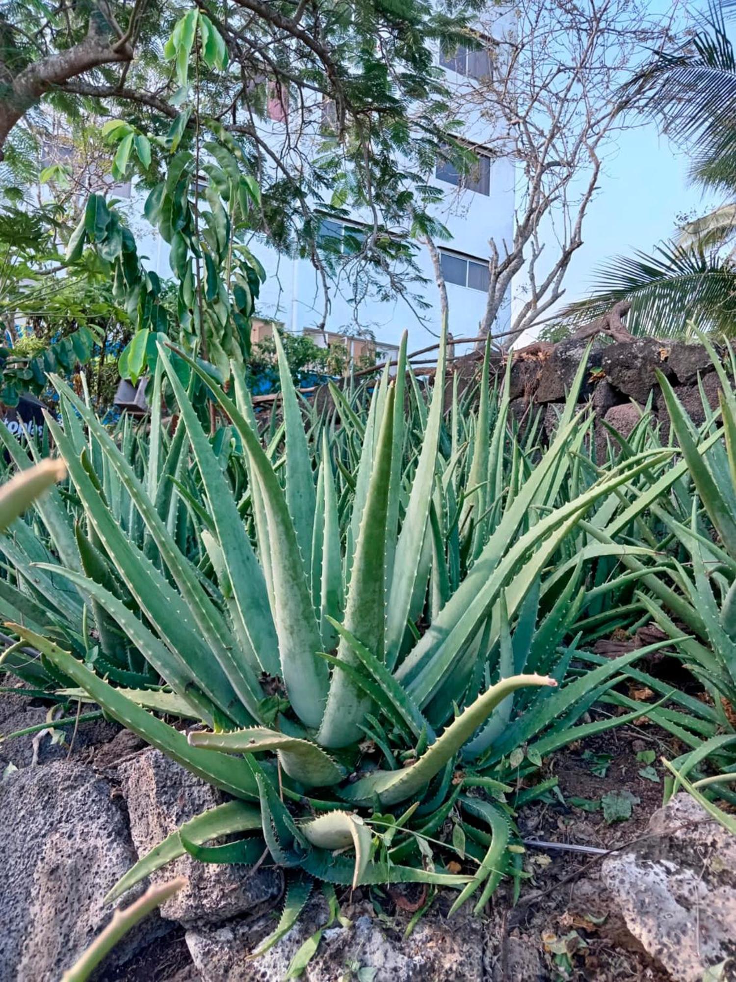 Isla Azul 호텔 푸에르토아요라 외부 사진